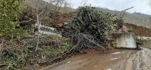ORDU'DA HEYELANLARA KARŞI YENİ YERLEŞİM ALANLARI BELİRLENDİ