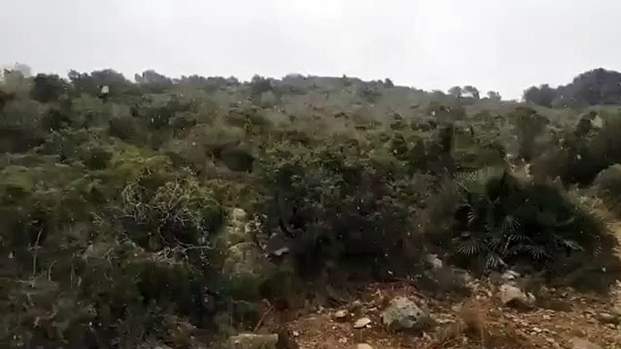 Nevada en el término municipal de Sitges, a 200 metros de altitud /  METEO GARRAF