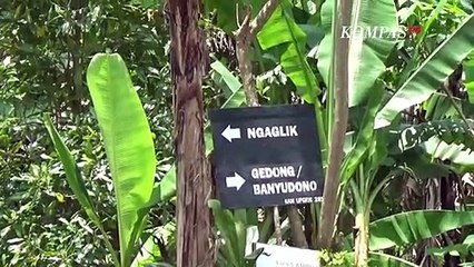 Fakta-fakta Atlet Paralayang Yazid Khairil Tewas Terjatuh saat Latihan