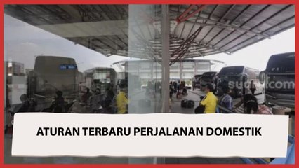Ketentuan Terbaru Pelaku Perjalanan Domestik: Sudah Booster Tak Perlu PCR dan Antigen