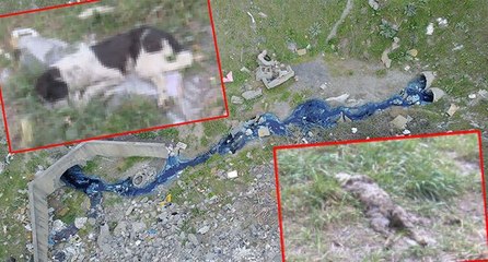 Alibeyköy Barajı’na giden dereye ‘zehir’ akıyor iddiası ortalığı karıştırdı!