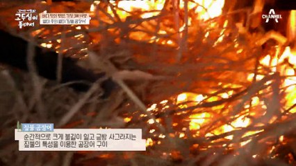 여행의 깊은 맛을 느끼게 해준 기장의 향토 음식 '짚불 곰장어'