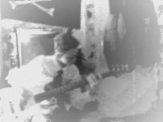 Boulvard of broken dreams cover by Lilyan