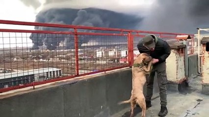 Ucrania | Ataque ruso a Odesa