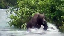 Un Grizzly se met à courir vers ces touristes... terrifiant