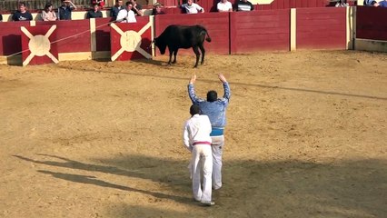 31.03.19 Le Houga Dussau Romain Truchat Seconde Présentation2019 2e Partie