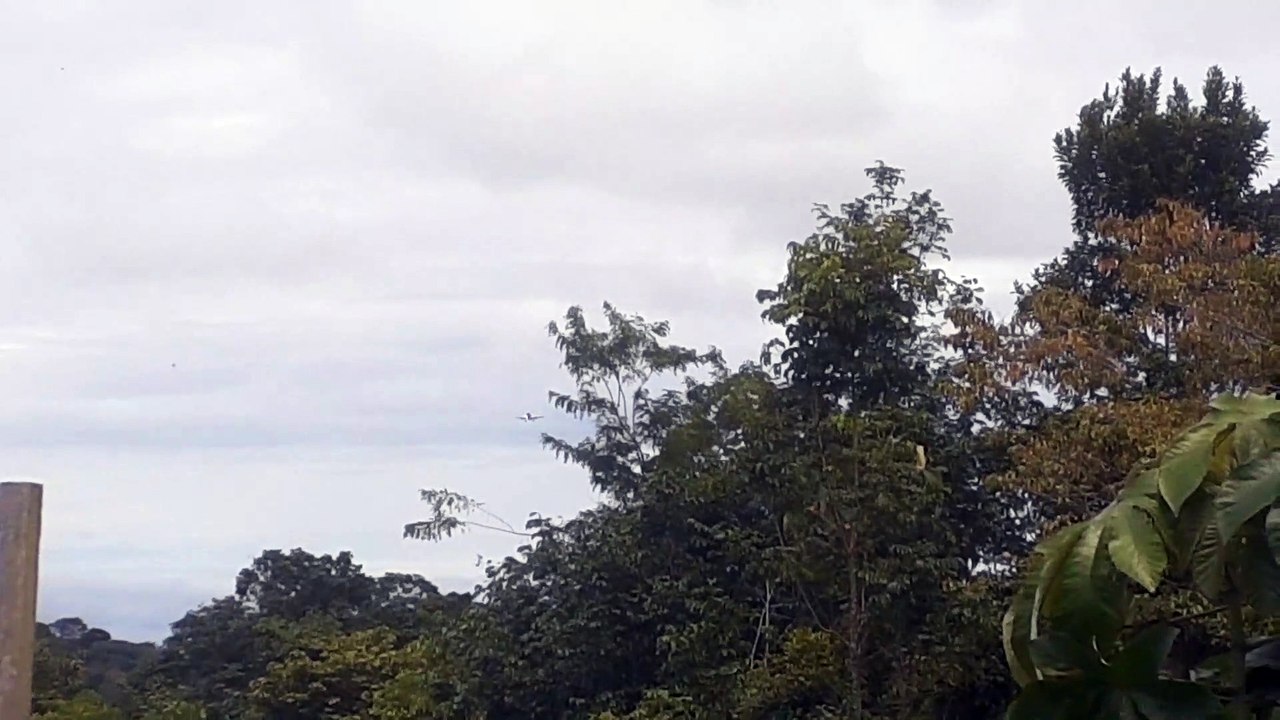 Airbus A330 PR-AIV vindo de Campinas para Manaus