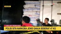 Lapisi Ganja dengan Karung untuk Kelabui Petugas, 2 Pelaku Terancam Penjara Seumur Hidup!