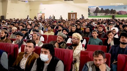 Афганистан: мак снова под запретом