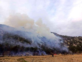 Çorum'daki orman yangını kontrol altına alındı
