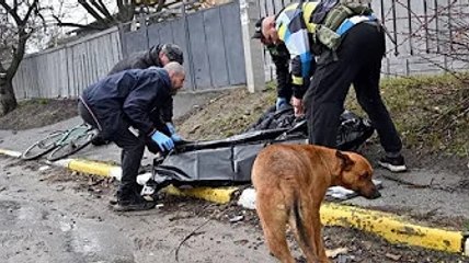 Guerre en Ukraine : L’Occident choqué après la découverte de civils abattus à Boutcha, Moscou dément