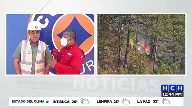 COPECO trabaja para apagar incendio forestal que consume bosques de El Cimarrón