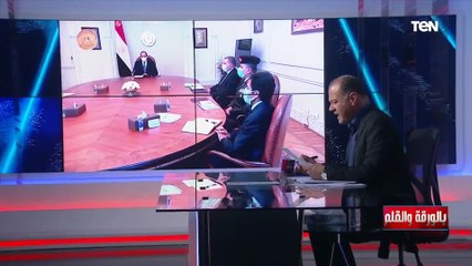 الرئيس السيسي يوجه بإعداد تقييم متكامل لتجربة زراعة القطن قصير التيلة في مصر