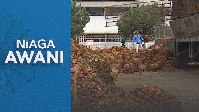 Minyak Sawit Mentah | Kontrak Niaga Hadapan dijangka alami pembetulan