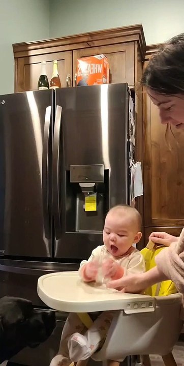 Dog Startles Baby into Spilling Water