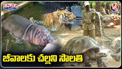 Nehru Zoological Park has installed Sprinklers, Coolers To Protect Animals From Scorching  | Hyderabad