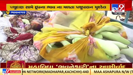 Bhavnagar _ Pasudan (Cattle feed) prices hikes up to Rs. 600 per sack _Gujarat _TV9GujaratiNews