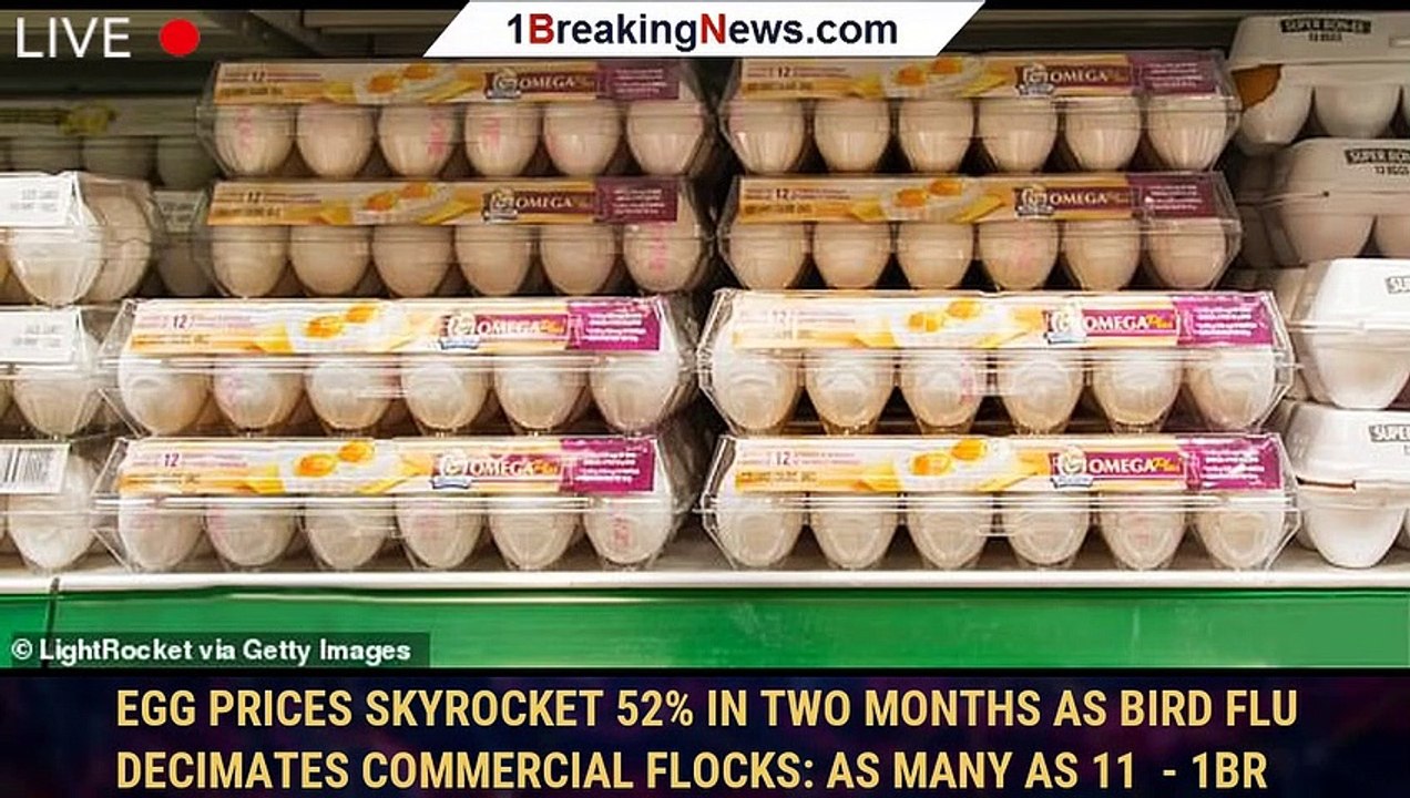 Egg Prices Skyrocket 52% In TWO MONTHS As Bird Flu Decimates Commercial ...