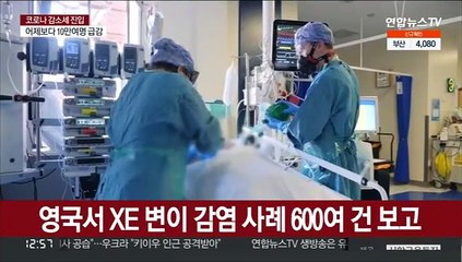WHO "오미크론-스텔스 혼합변이 전염력 더 클수도"