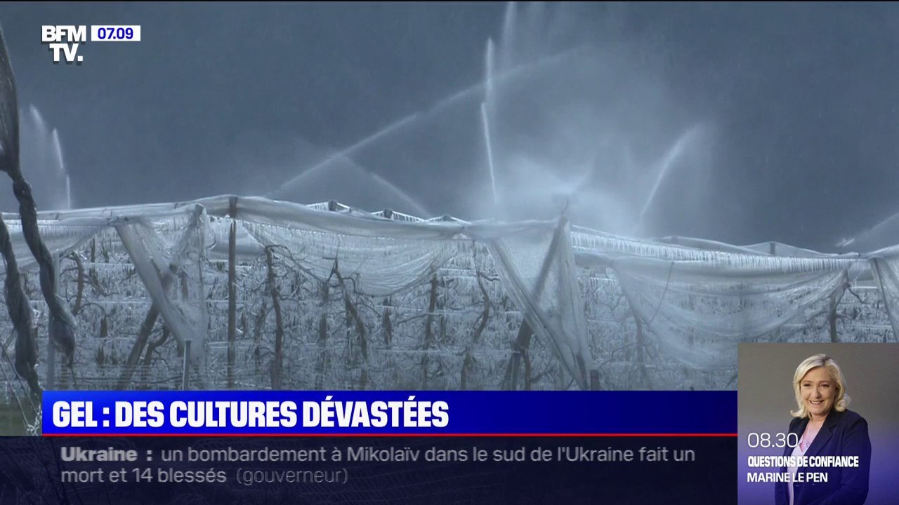 Comment ces arboriculteurs tentent par tous les moyens de sauver leurs récoltes de fruits du gel