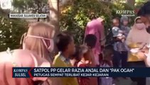 Satpol PP Gelar Razia Anjal Dan Pak Ogah