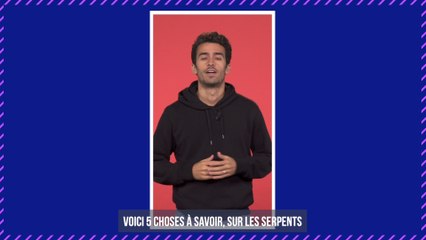 Ce monstrueux serpent refait surface aux États-Unis après avoir disparu