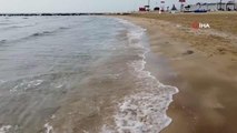 Mersin'de kıyıya vuran ölü denizanaları için uzmanlardan uyarı 