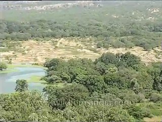 Padam Talao - Ranthambore National Park's largest lake, Rajasthan