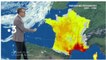 Le monde de Jamy (France 3) Sécheresse et incendies : les super-pouvoirs de nos forêts !
