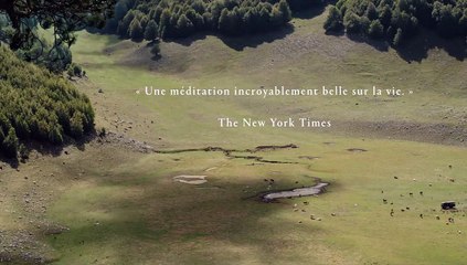 Il buco Bande-annonce VF (2022) Michelangelo Frammartino, Giovanna Giuliani