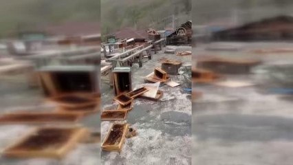 Ayılar iki katlı evin terasındaki kovanlara zarar verdi