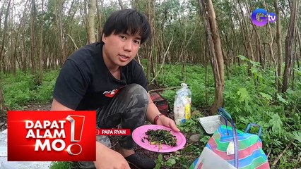 Dapat Alam Mo!: Catch and cook sa Taiwan with Papa Ryan, panoorin!