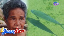 Isang buong pamilya, namatay dahil diumano sa pagkain ng misteryosong isda | iJuander