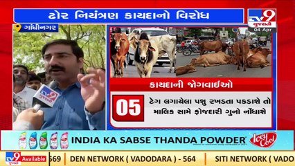 Maldhari community in mood to protest over bill against cattle nuisance _Gujarat _TV9GujaratiNews