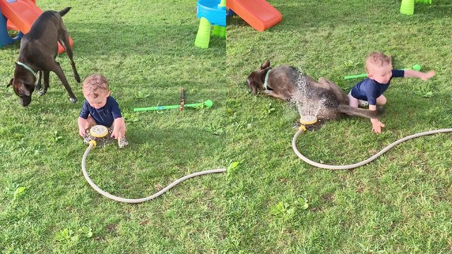 ''Baby DOWN!' Heedless puppy rolls over and knocks down baby boy '