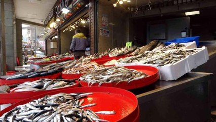 Ramazanda balığa ilgi az olunca fiyatlar geriledi