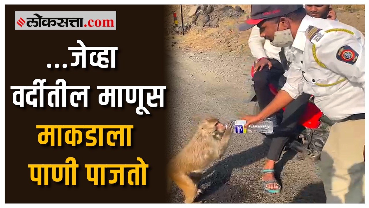 पोलीस कर्मचाऱ्याने तहानलेल्या माकडाला पाजलं पाणी; व्हिडीओ सोशल मीडियावर व्हायरल