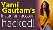 Yami Gautam's Instagram account hacked!