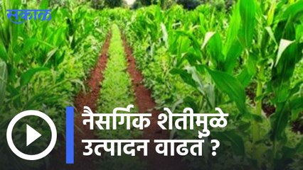 Natural Farming | कर्नाटकात होणार  Natural फार्मिंगचा प्रयोग | Sakal |