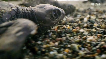 Prehistoric Planet — Official Sneak Peek | Apple TV+