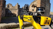 Spot le robot-chien, nouvelle recrue de Pompéi pour protéger et sécuriser les ruines