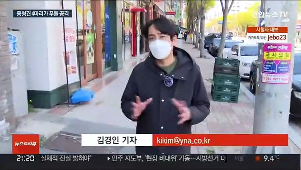 집 탈출 중형견 4마리, 소형견 물어 죽여…주인도 부상