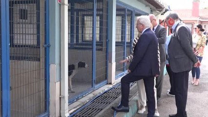 Nilüfer'de kedilere özel hizmet: Revize edilen kedi bölümü hizmete girdi