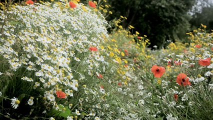 Sexsomnia: The disorder that makes you engage in sexual activities in your sleep