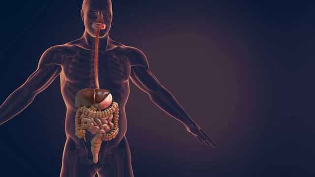 Burping: When should you be worried about the frequency of your burps?