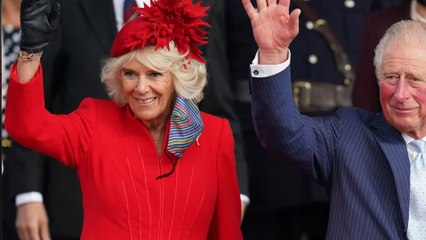 Prince Andrew: Prince Charles to help pay for the sex abuse settlement