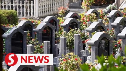 Green tomb-sweeping gains more acceptance in China