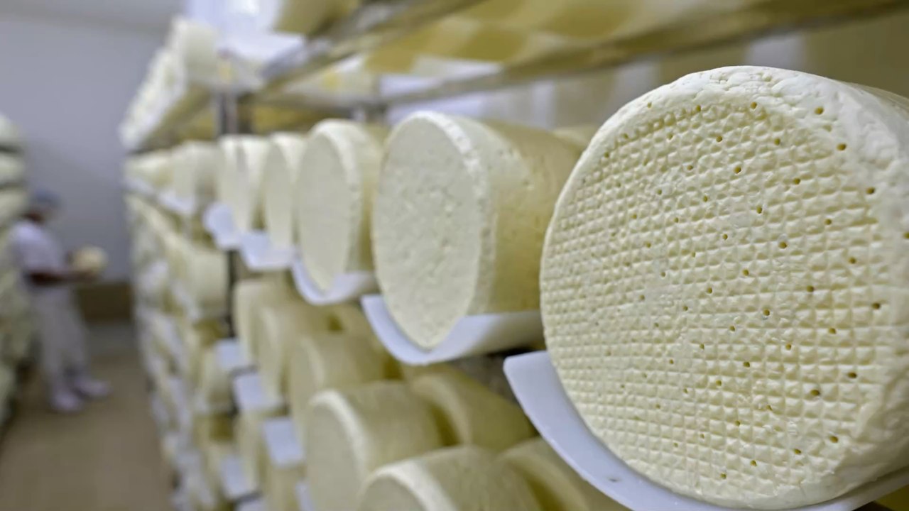 Les fromages avec de la moisissure sont-ils vraiment bons pour la santé ?