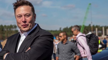 Elon Musk: 'Meteorite will hit us' predicts the visionary