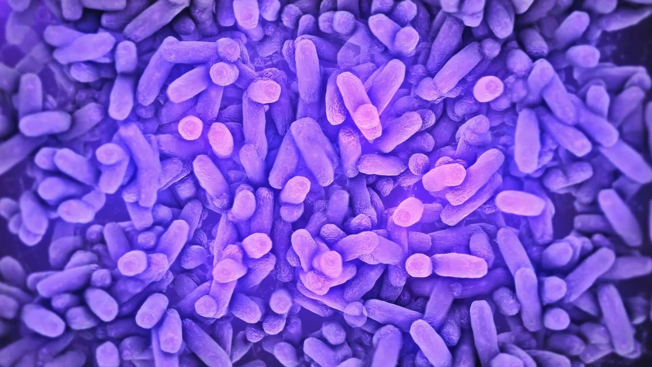 Neue Studien: Können Probiotika einen schweren Corona-Verlauf verhindern?